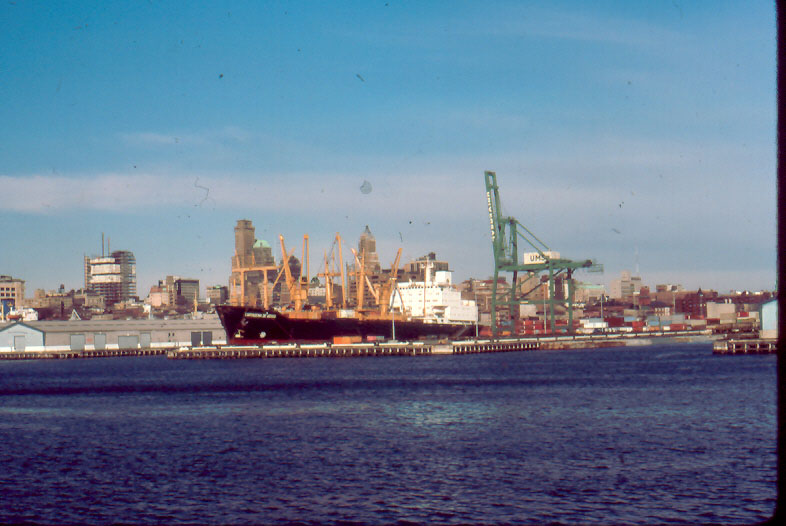 dewitt
