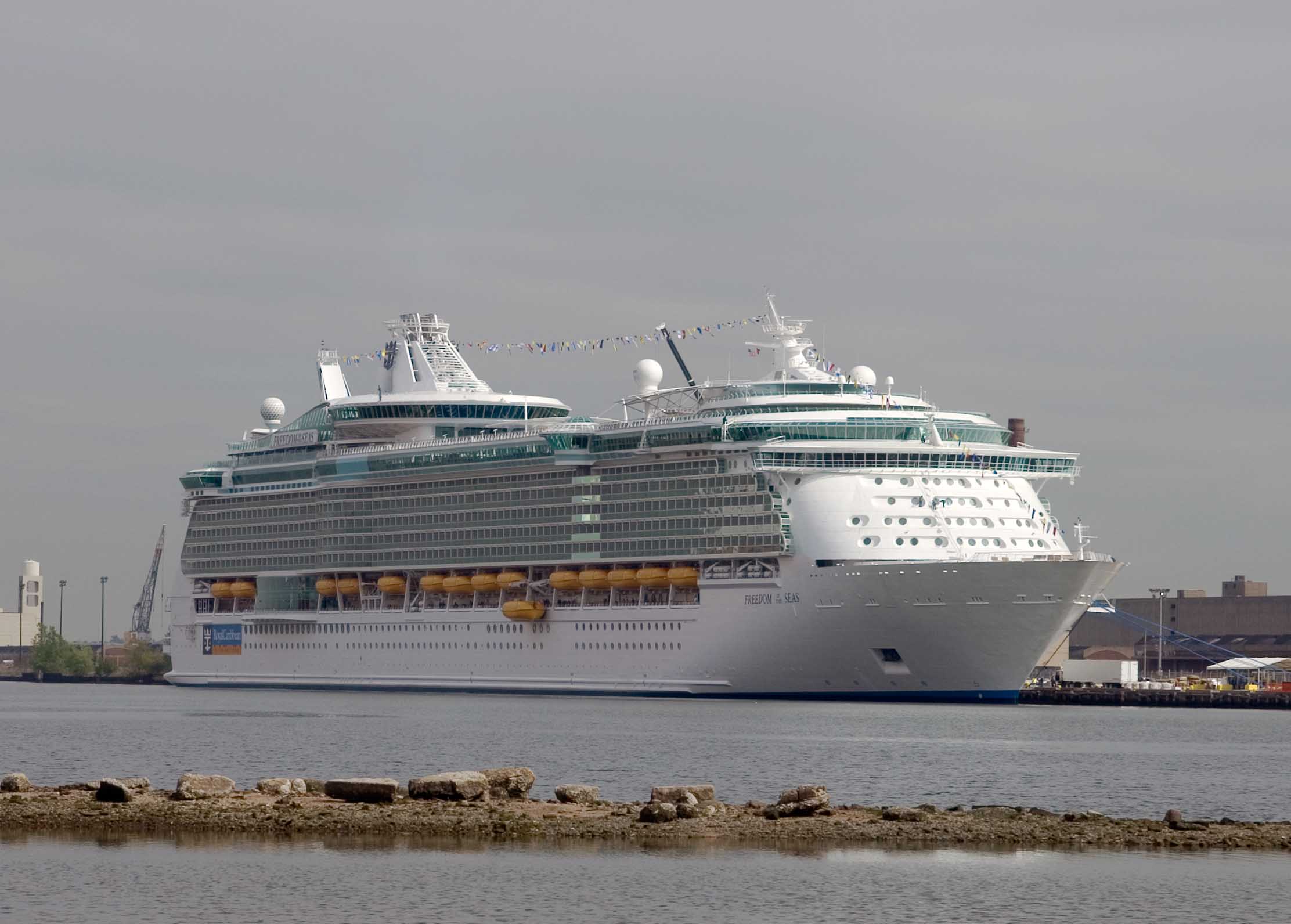 freedom of the seas
