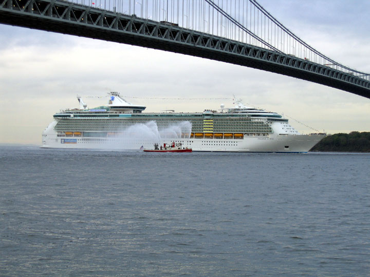 freedom of the seas
