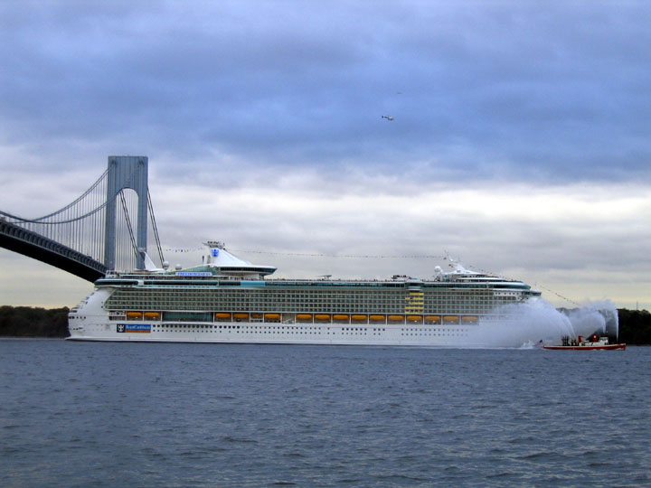 freedom of the seas