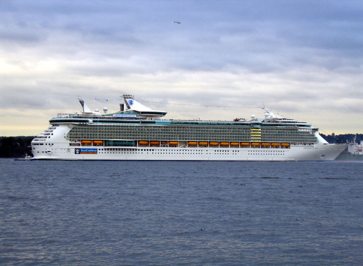 freedom of the seas