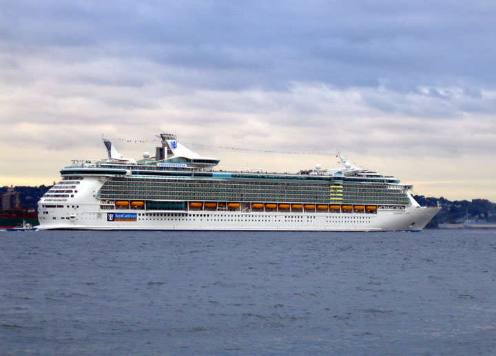 freedom of the seas