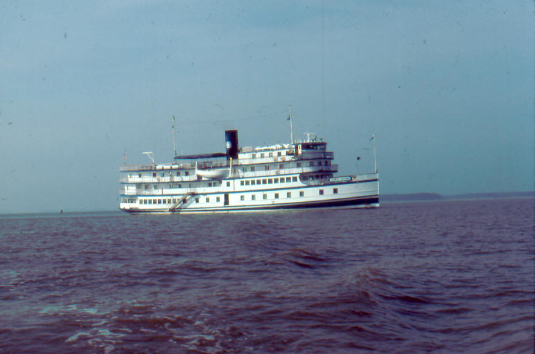 Pilgrim Belle