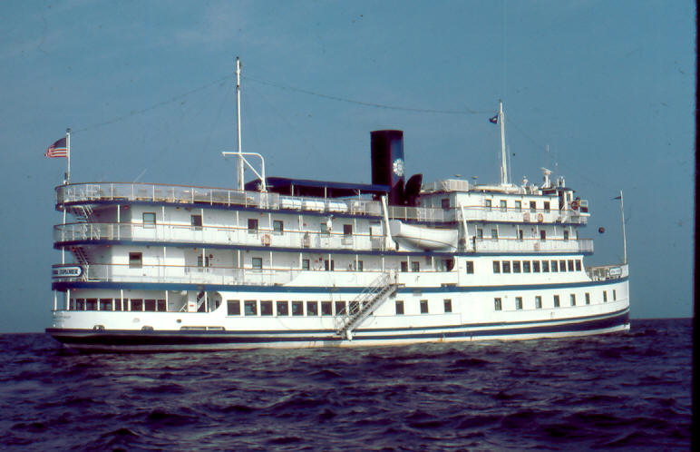 Pilgrim Belle