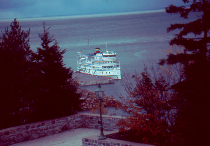 Pilgrim Belle