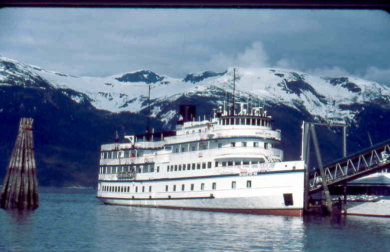 Pilgrim Belle