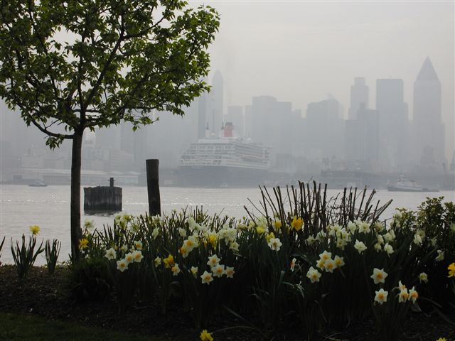 qm2
